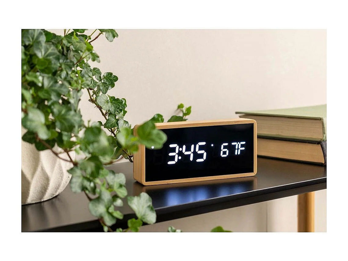 Tubo despertador de bambú