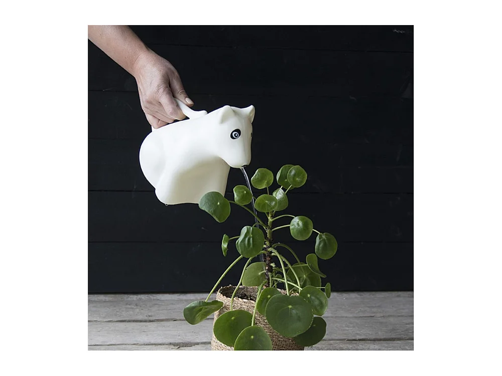 Gießkanne Tier aus Kunststoff Hund