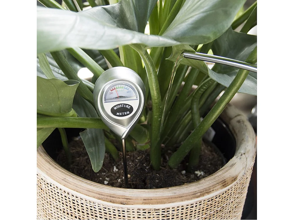 Hygromètre pour plantes d'intérieur Garden