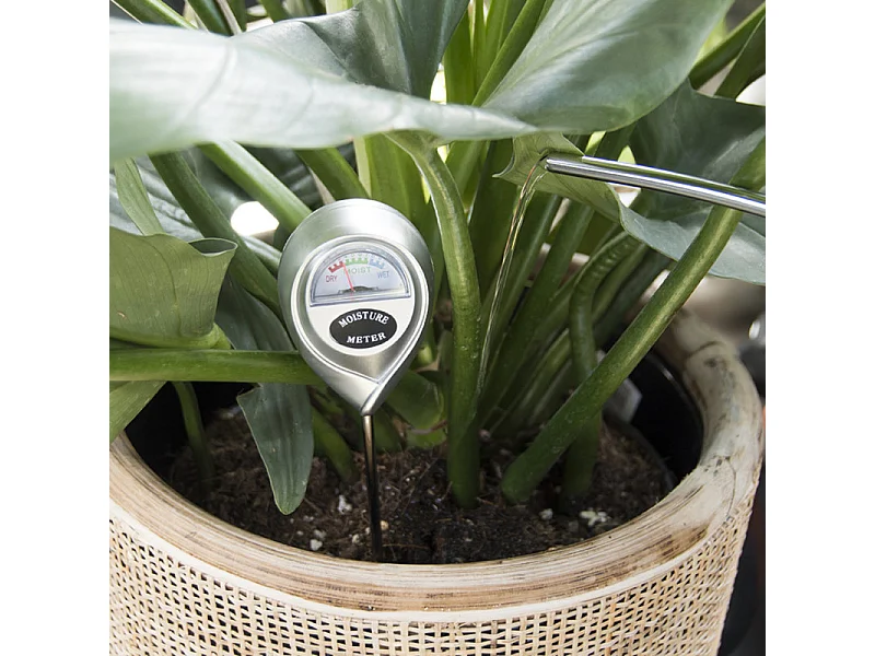 Hygromètre pour plantes d'intérieur Garden
