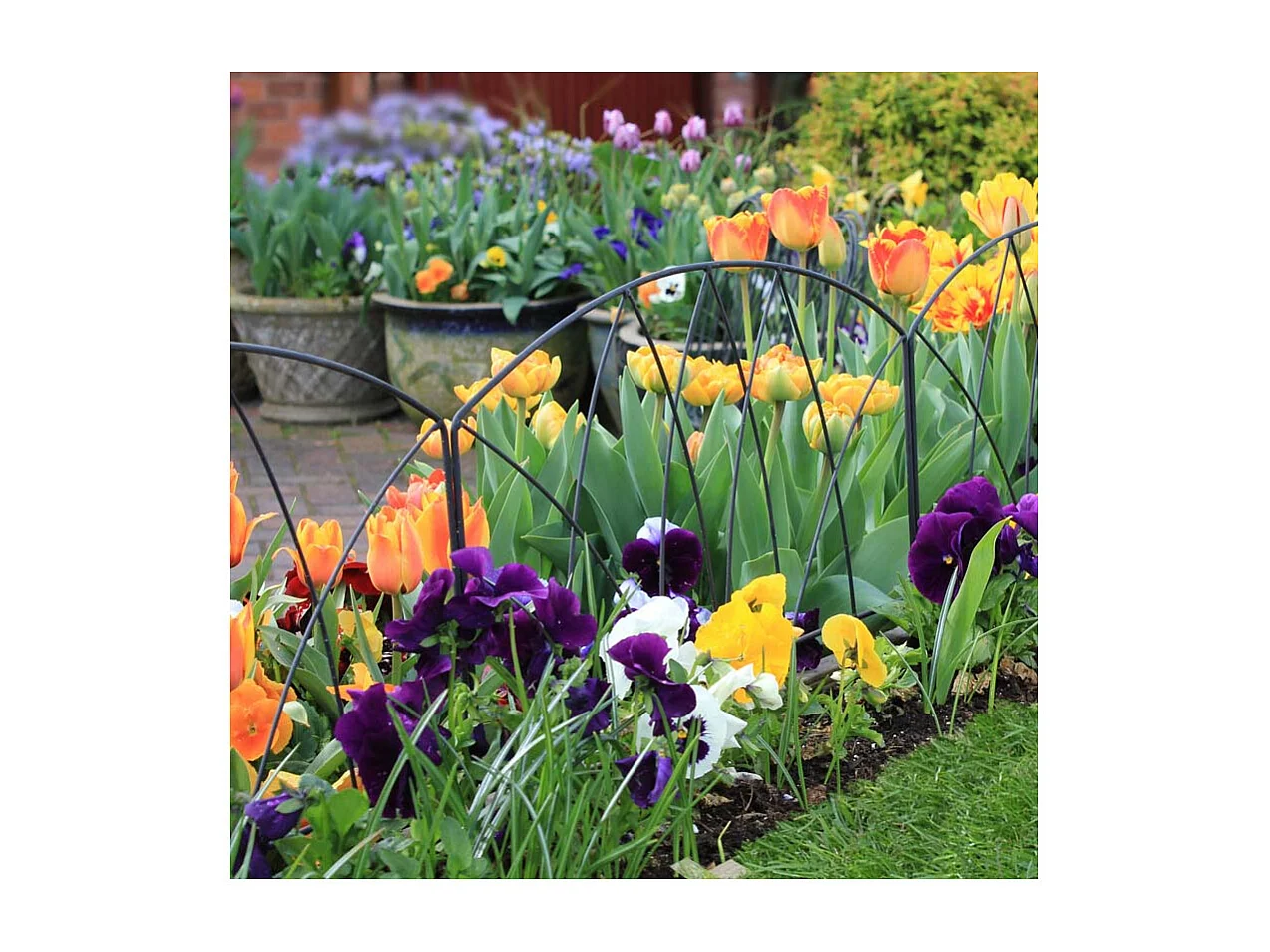 Bordure de jardin en fer forgé Victoriana Unitaire