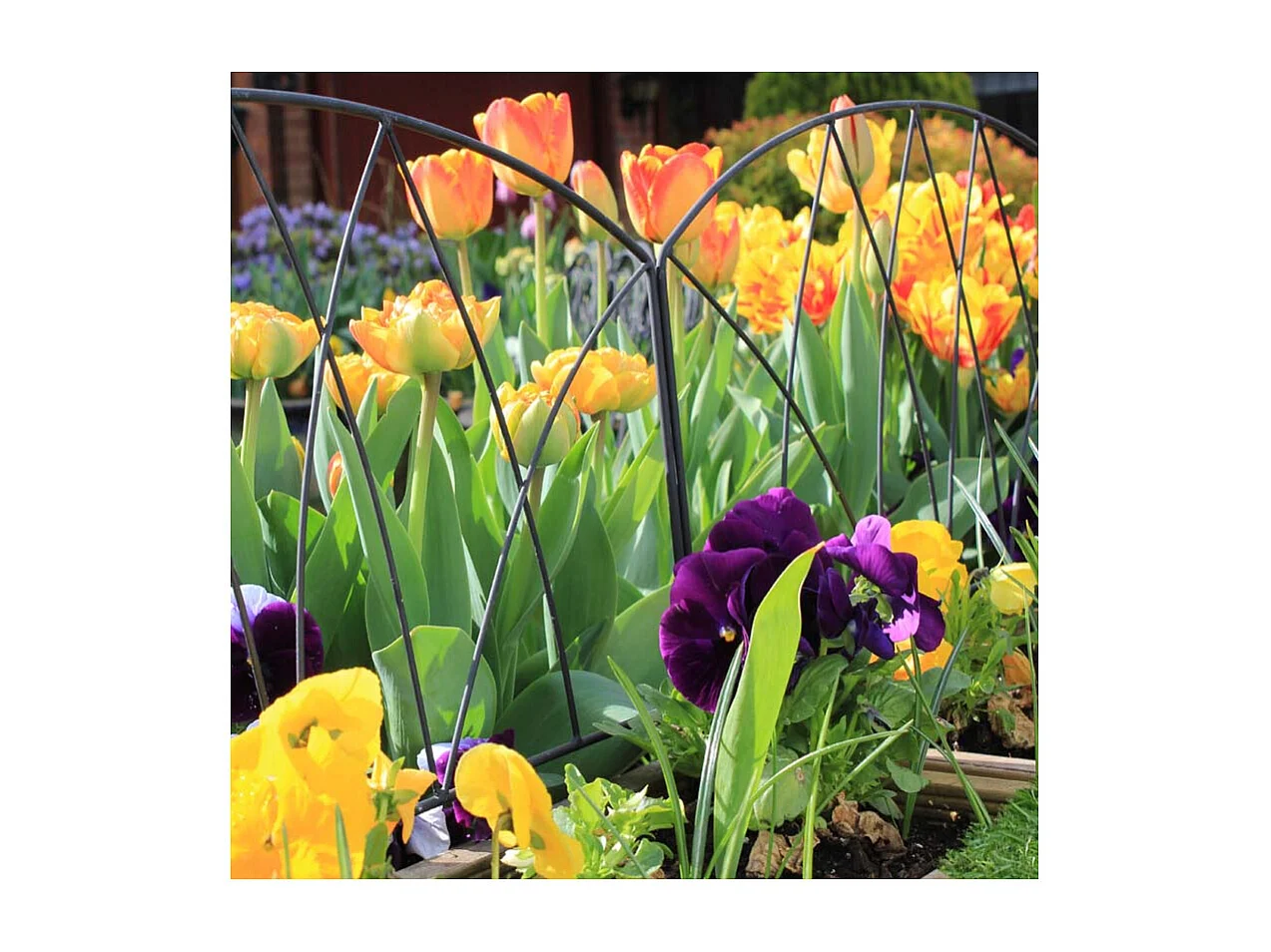 Bordure de jardin en fer forgé Victoriana Unitaire