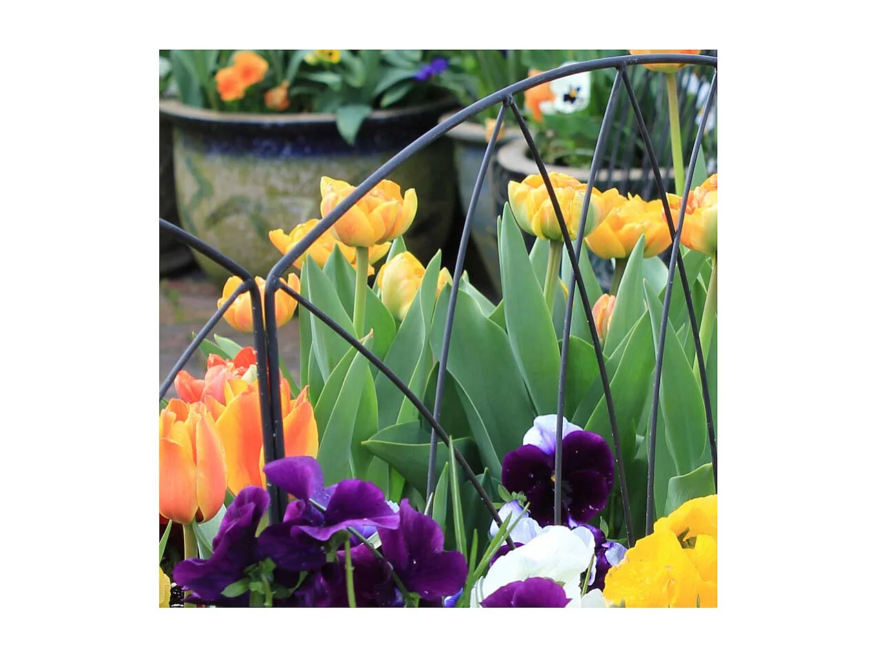 Bordure de jardin en fer forgé Victoriana Unitaire