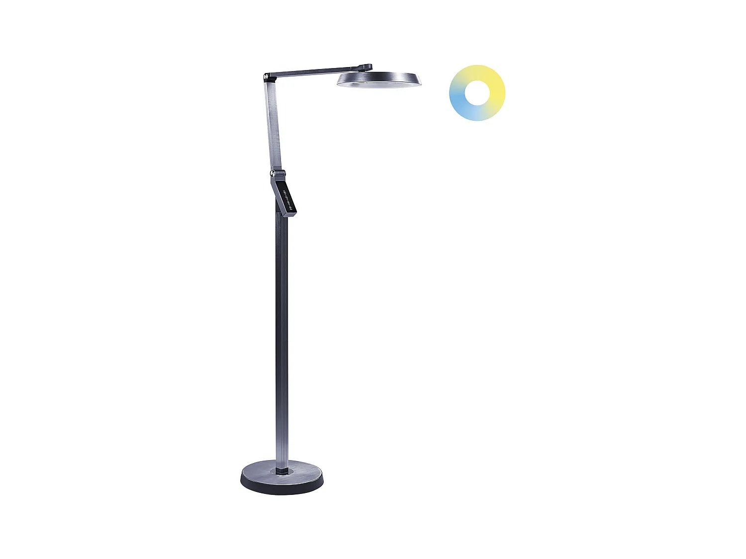 Lampadaire LED CARINA Avec variateur Métal Gris foncé