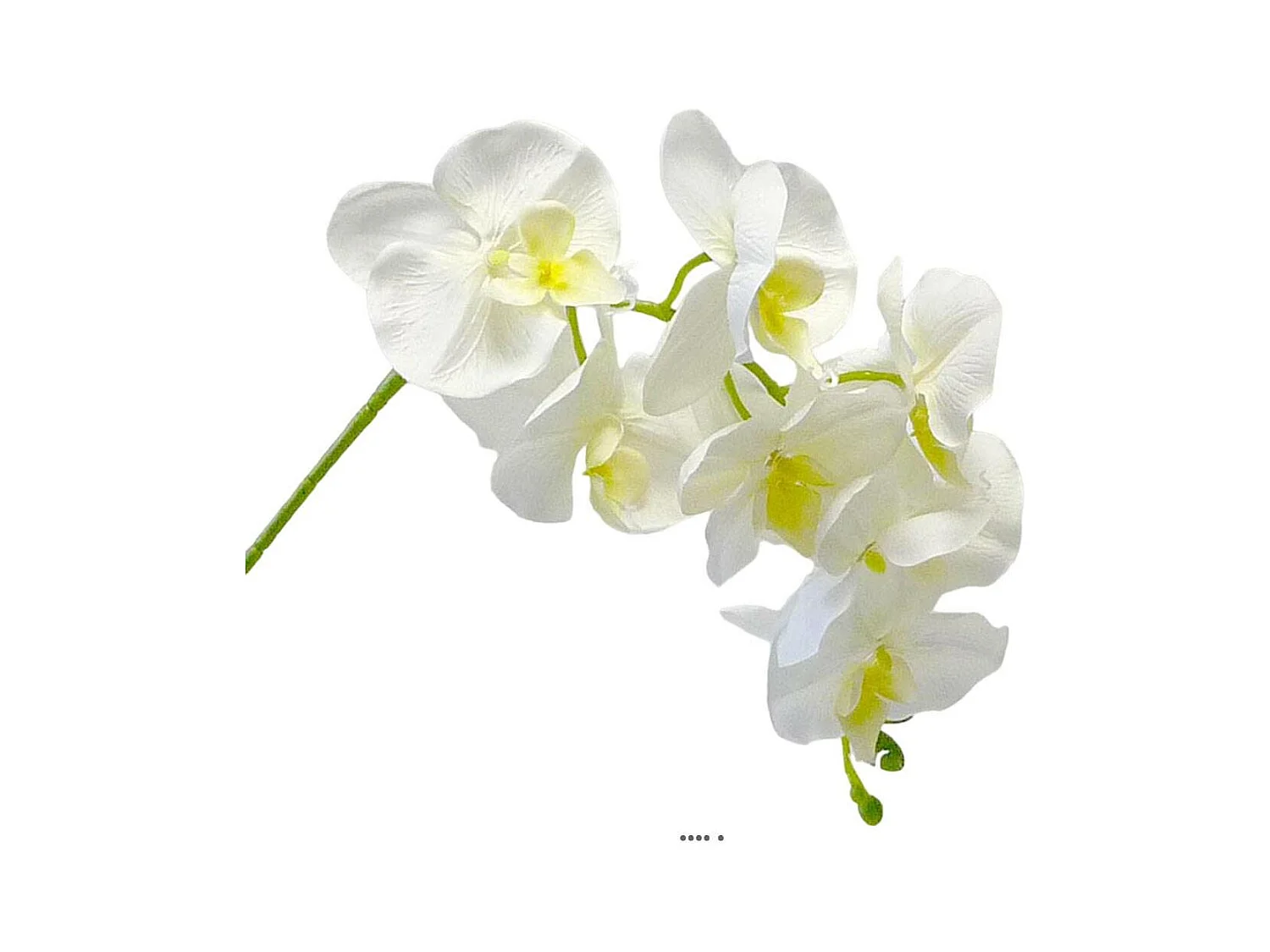 Orchidée Tao factice H105 cm 8 fleurons 5 boutons qualité Pro Crème - couleur: Crème