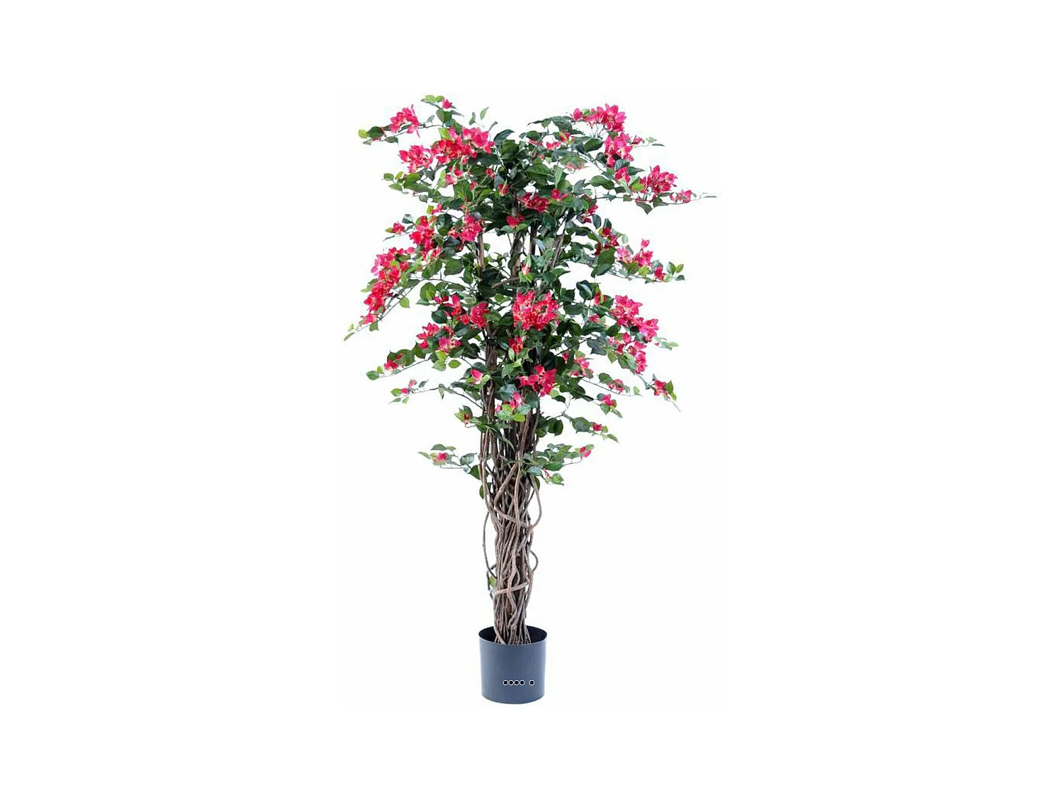 Bougainvillier artificiel en pot tronc naturel lianes H 150 cm Rose fushia - dimhaut: H 150 cm - couleur: Rose fushia 730