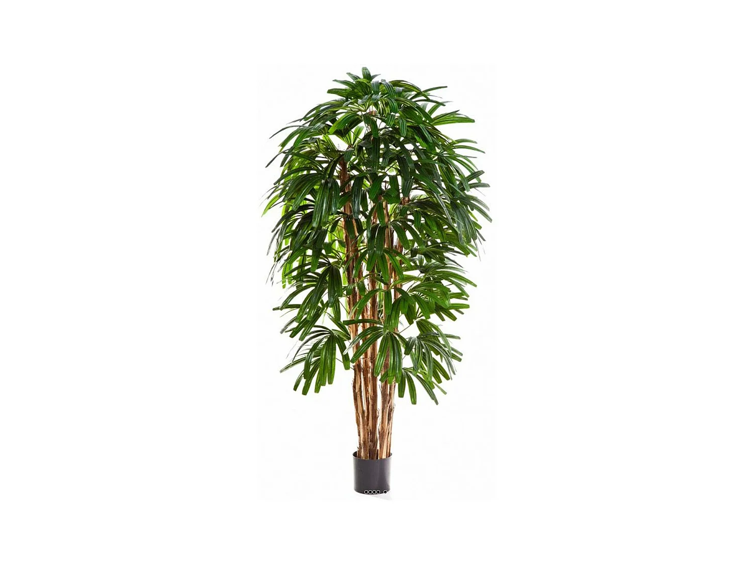 Palmier Raphis artificiel en pot multi troncs FEU RETARDANT H 180 cm - dimhaut: H 180 cm - div: F