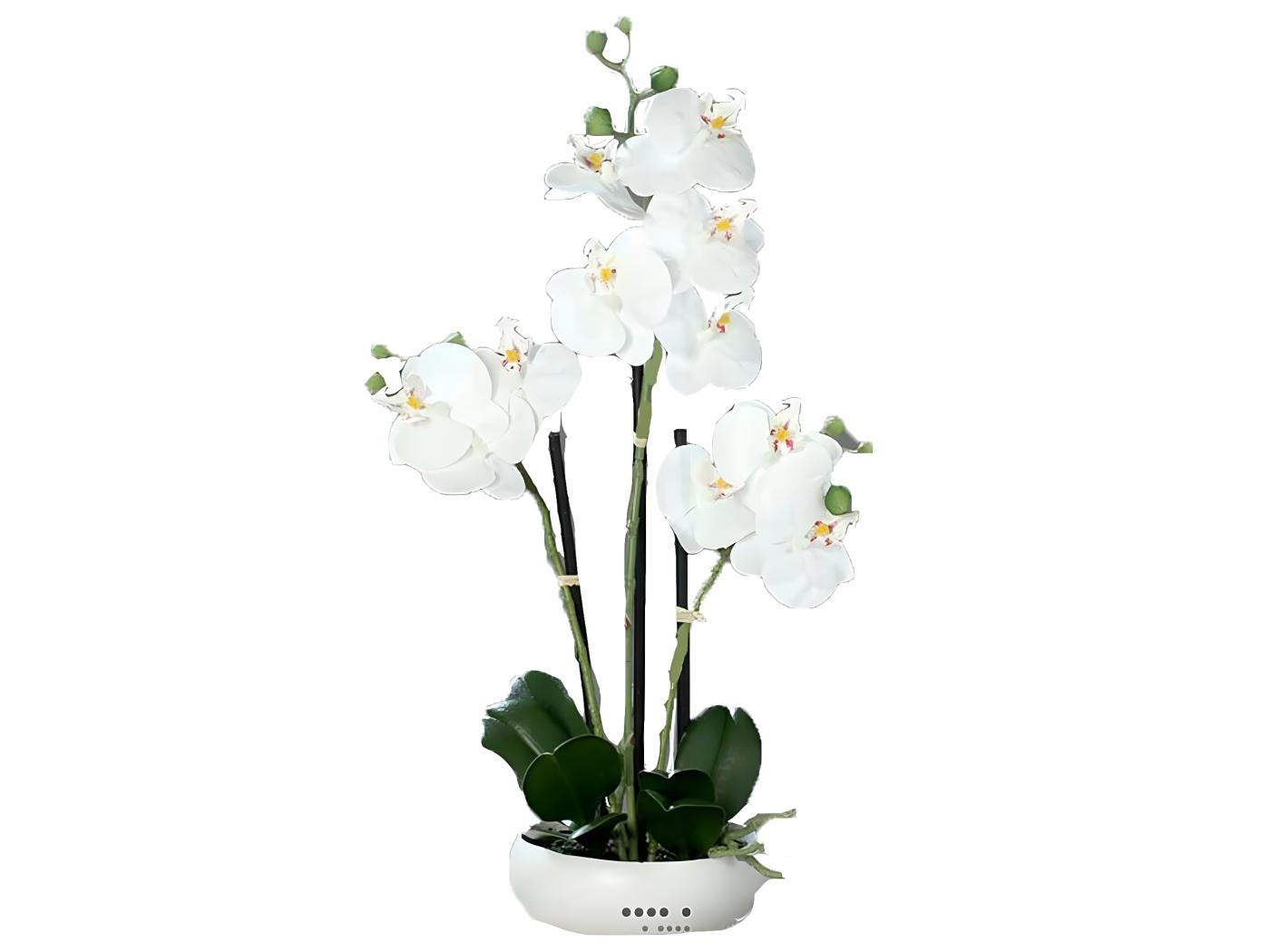 Orchidee Factice Hampes En Coupe Ceramique H Cm Touch R El Cr Me