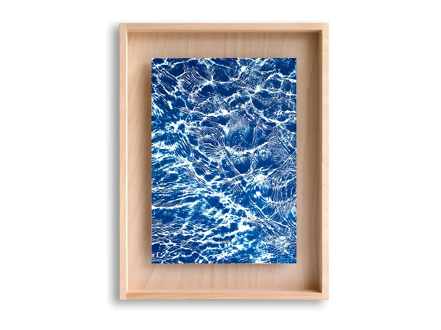 Carpë cianotipia marco al agua 40x30cm