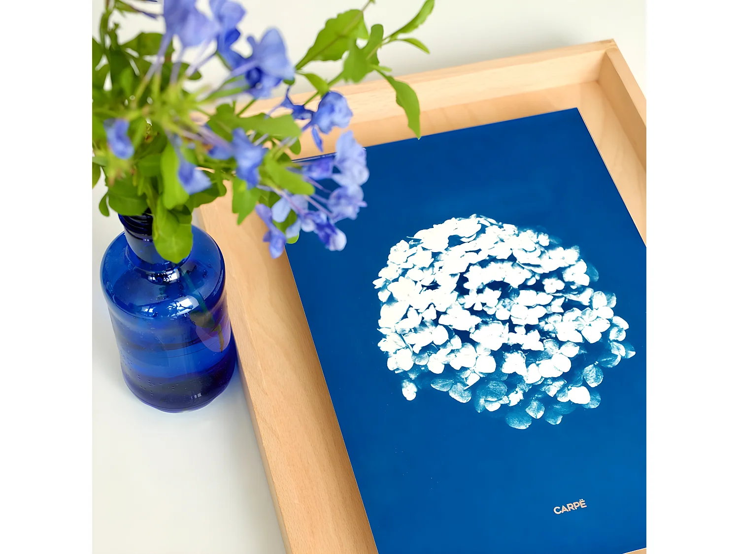 Cornice per ortensie in cianotipia Carpë 40x30cm