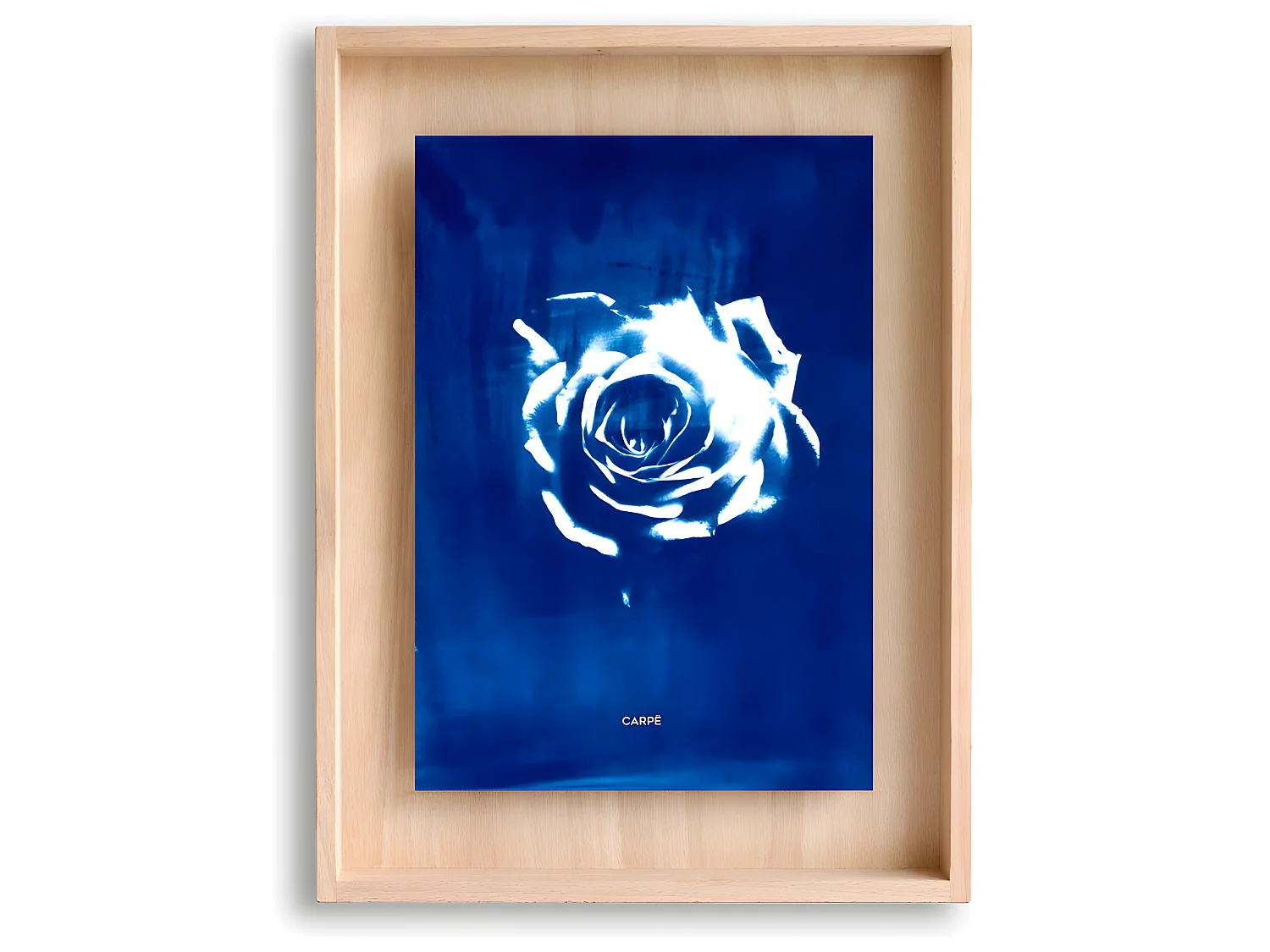 Marco cianotipia carpë rosa 40x30cm