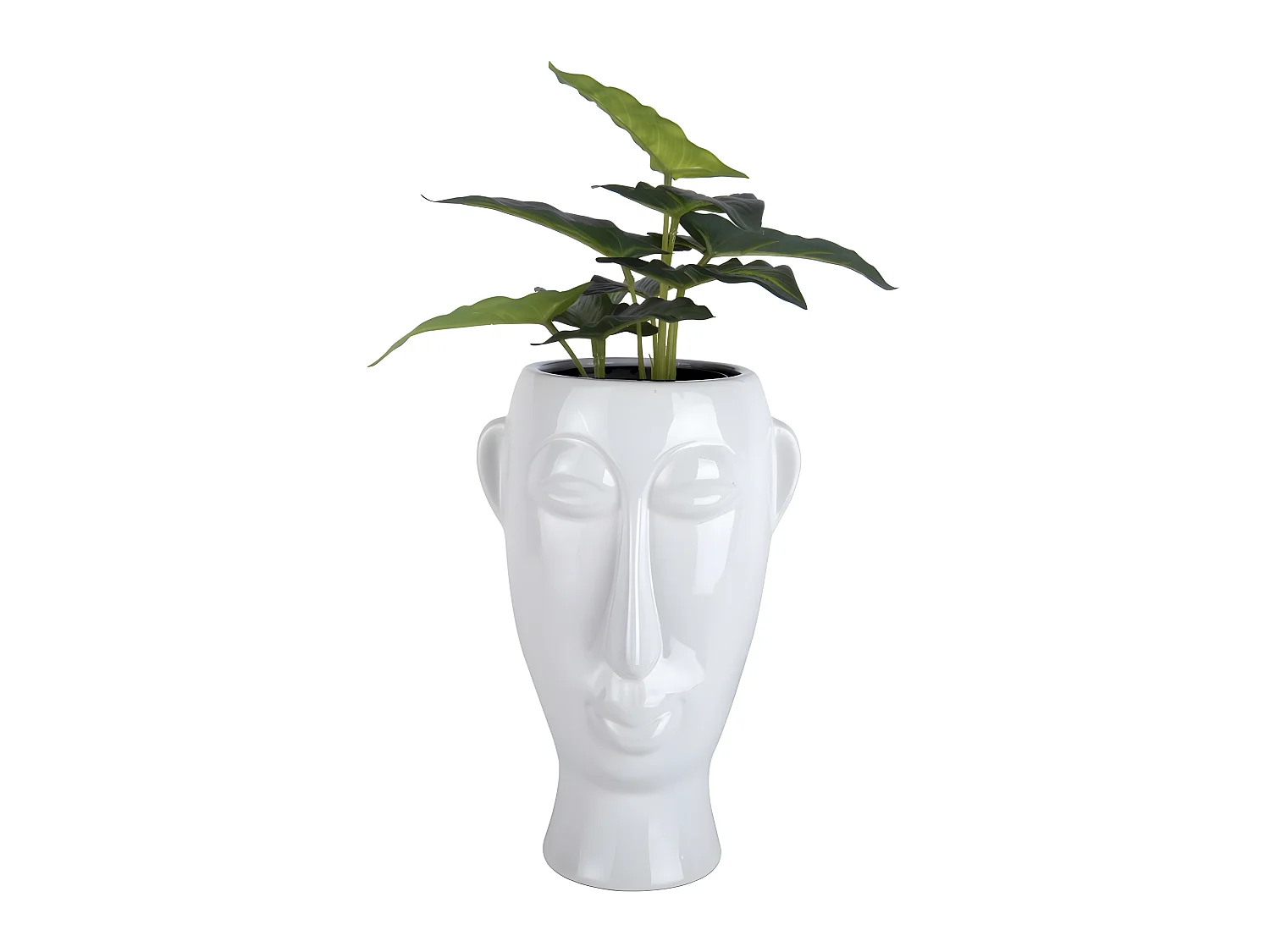 Vaso per piante di mascherina