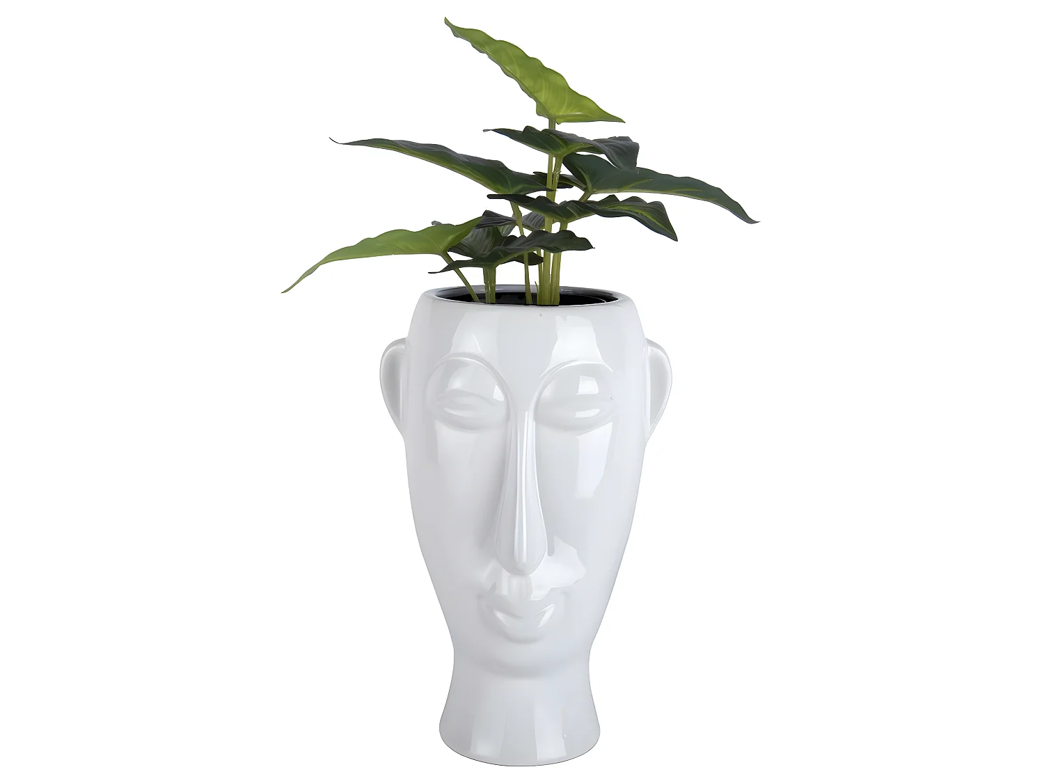 Vaso per piante di mascherina