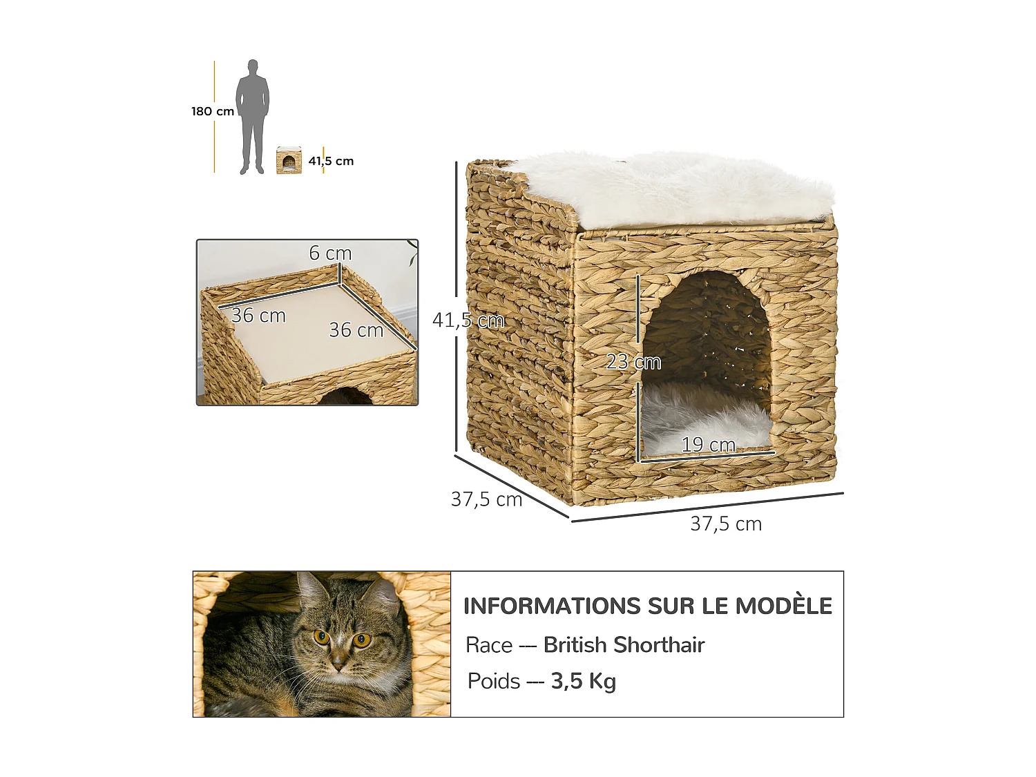 Panier chat lit chat cosy grand confort dim. Ø 37 x 41H cm coussins doux inclus jacinthe d'eau