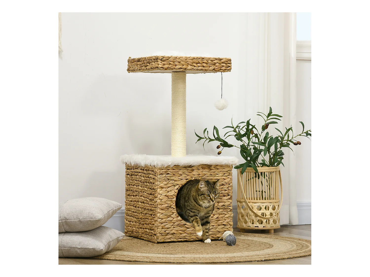Arbre à chat style cosy chic griffoir sisal niche plateforme d'observation boule jacinthe d'eau peluche aspect fourrure