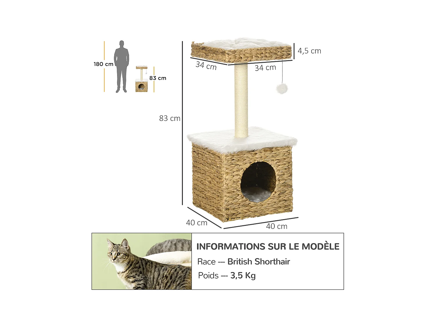 Arbre à chat style cosy chic griffoir sisal niche plateforme d'observation boule jacinthe d'eau peluche aspect fourrure