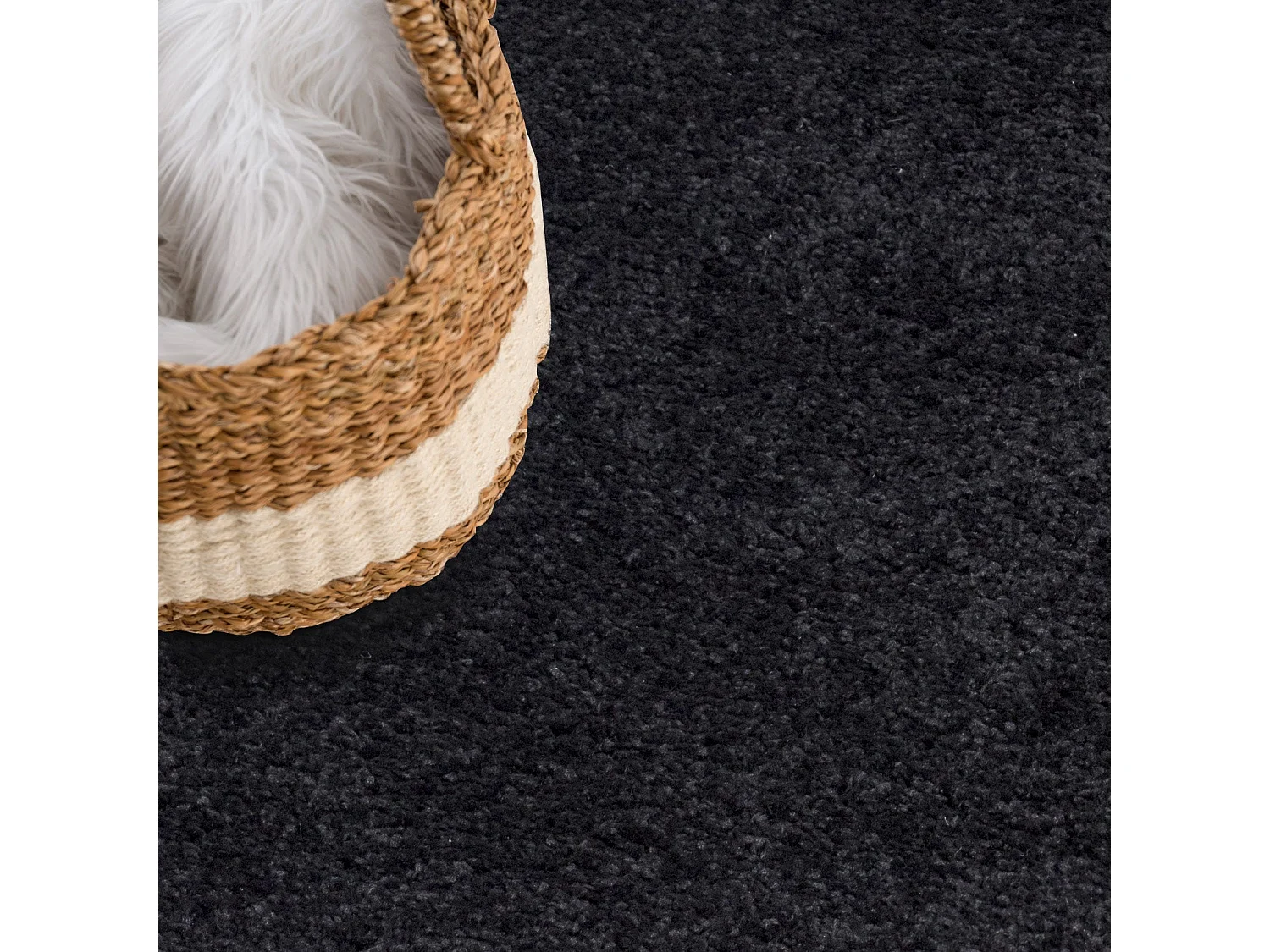 Tapis à Poils Longs SOFTY Noir Anthracite 230x320cm