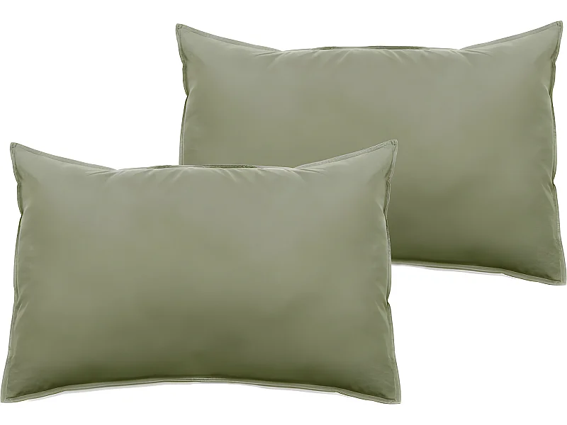 Lot de 2 taies d'oreiller Palace pur coton teint lavé 63 fils/cm² Vent du sud