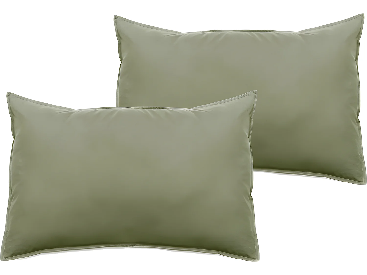 Lot de 2 taies d'oreiller Palace pur coton teint lavé 63 fils/cm² Vent du sud