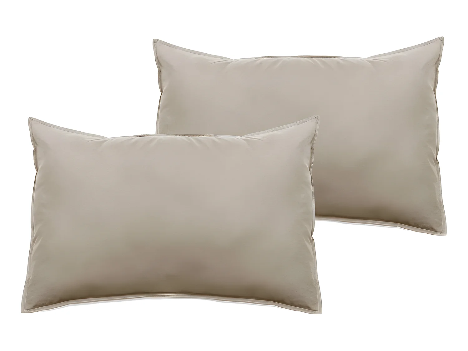 Lot de 2 taies d'oreiller Palace pur coton teint lavé 63 fils/cm² Vent du sud