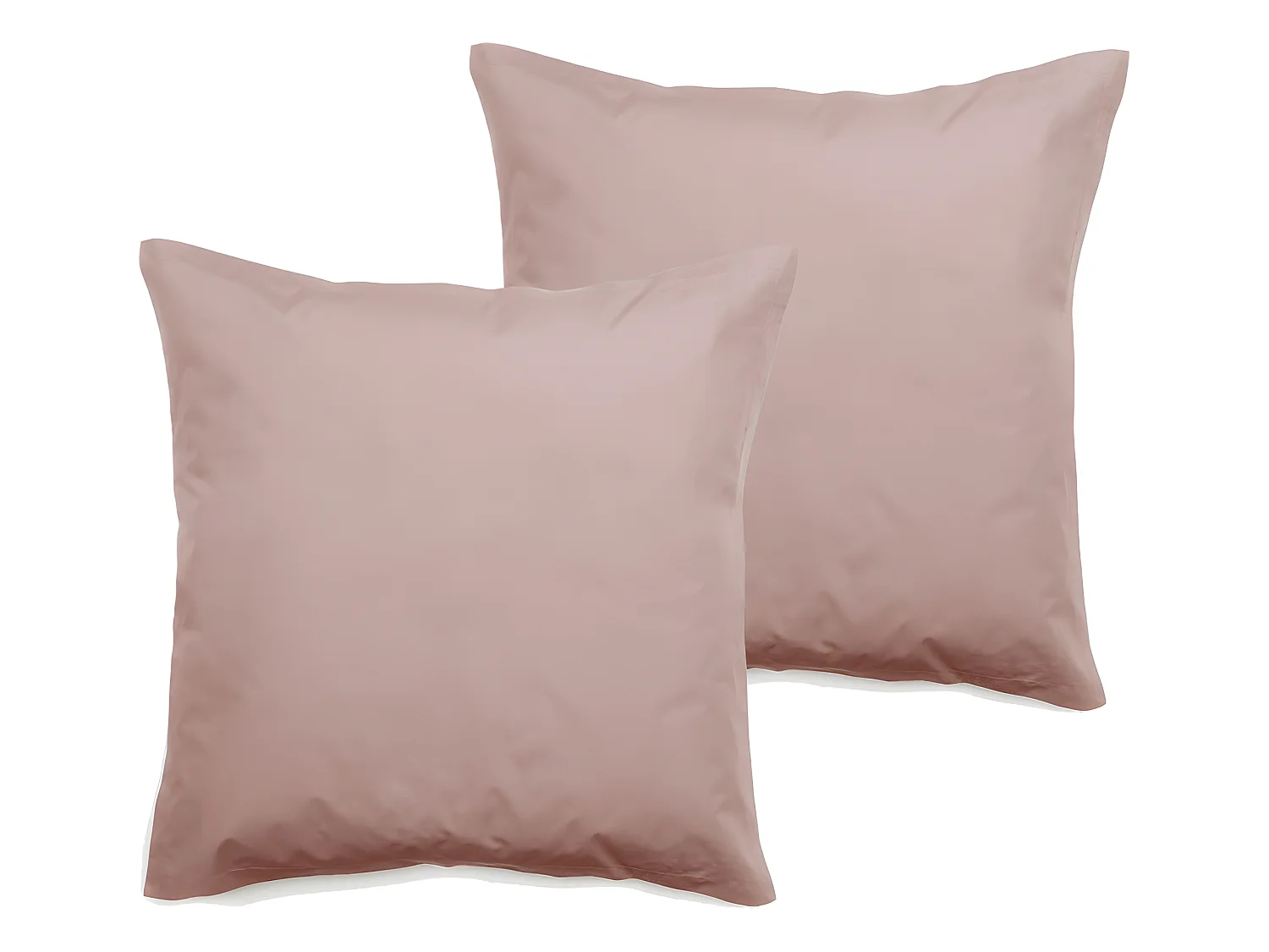 Lot de 2 taies d'oreiller percale pur coton peigné longues fibres 80 fils/cm² Vent du sud