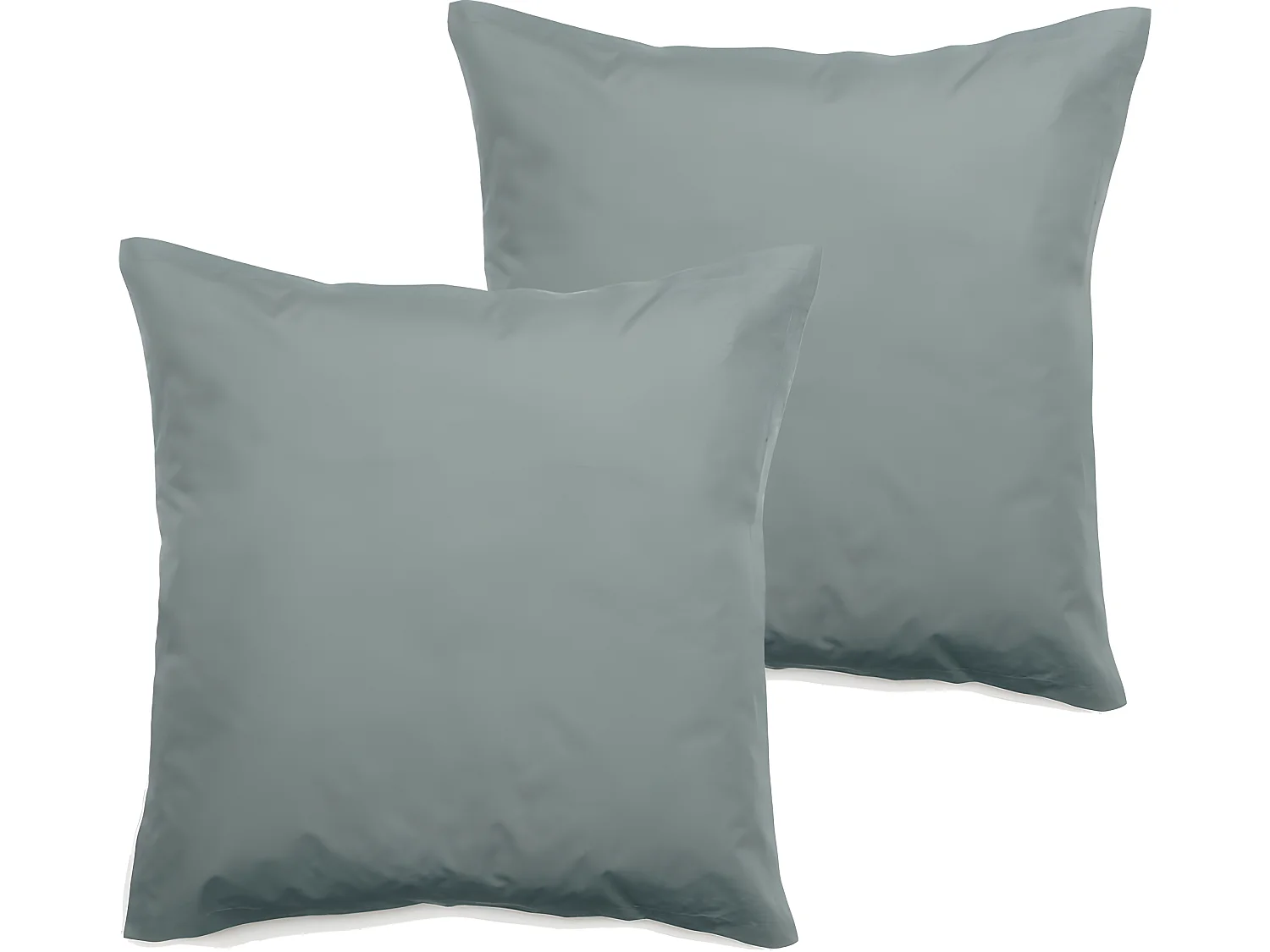 Lot de 2 taies d'oreiller percale pur coton peigné longues fibres 80 fils/cm² Vent du sud