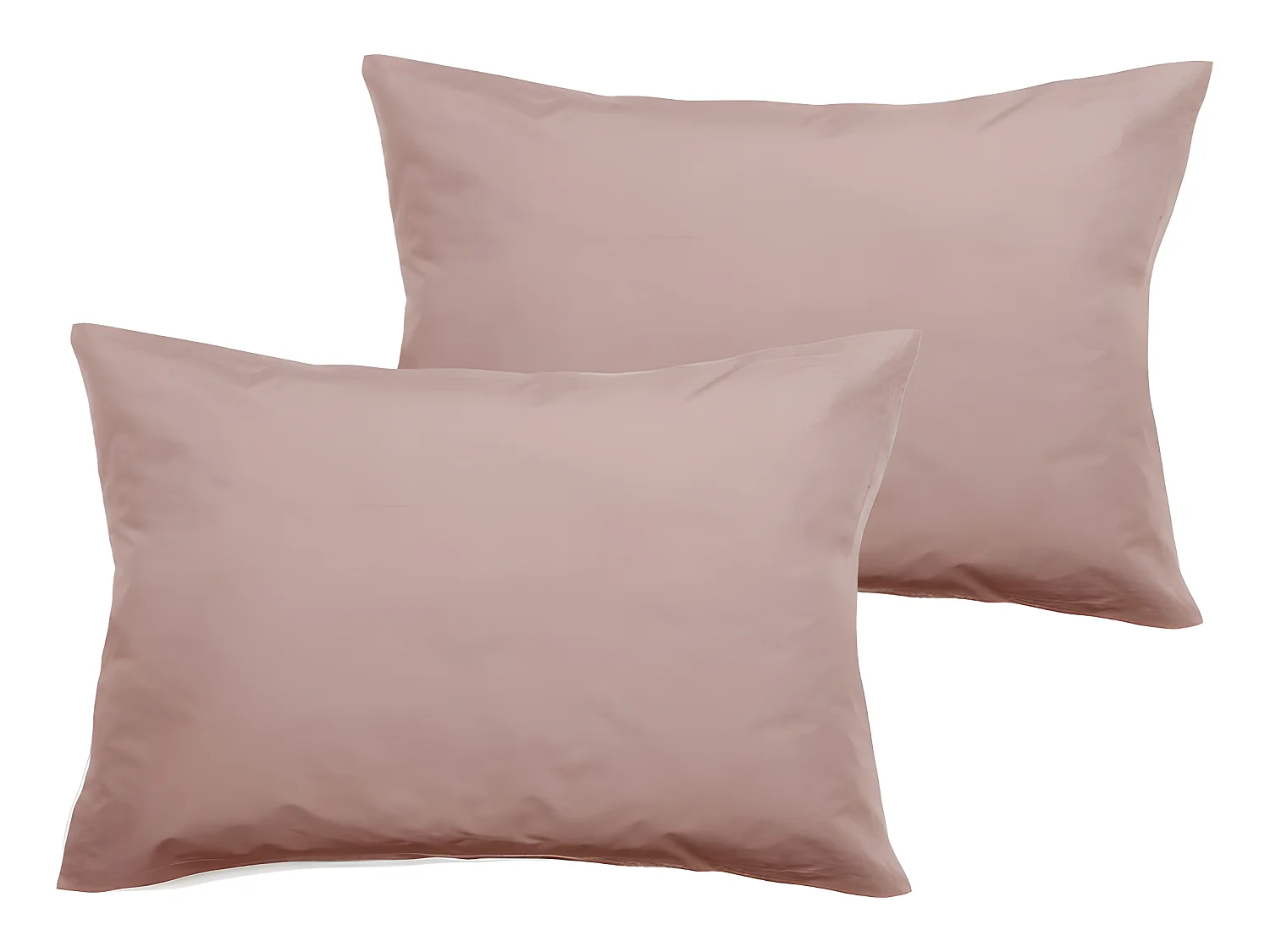 Lot de 2 taies d'oreiller percale pur coton peigné longues fibres 80 fils/cm² Vent du sud