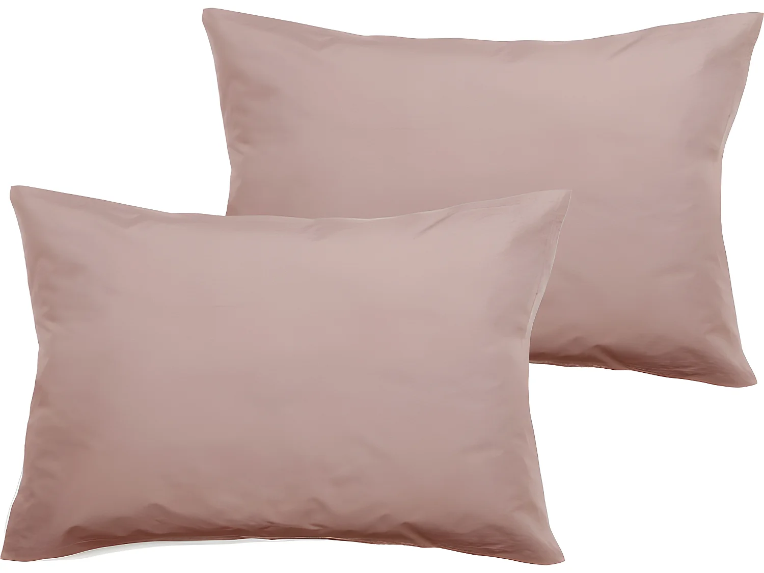 Lot de 2 taies d'oreiller percale pur coton peigné longues fibres 80 fils/cm² Vent du sud