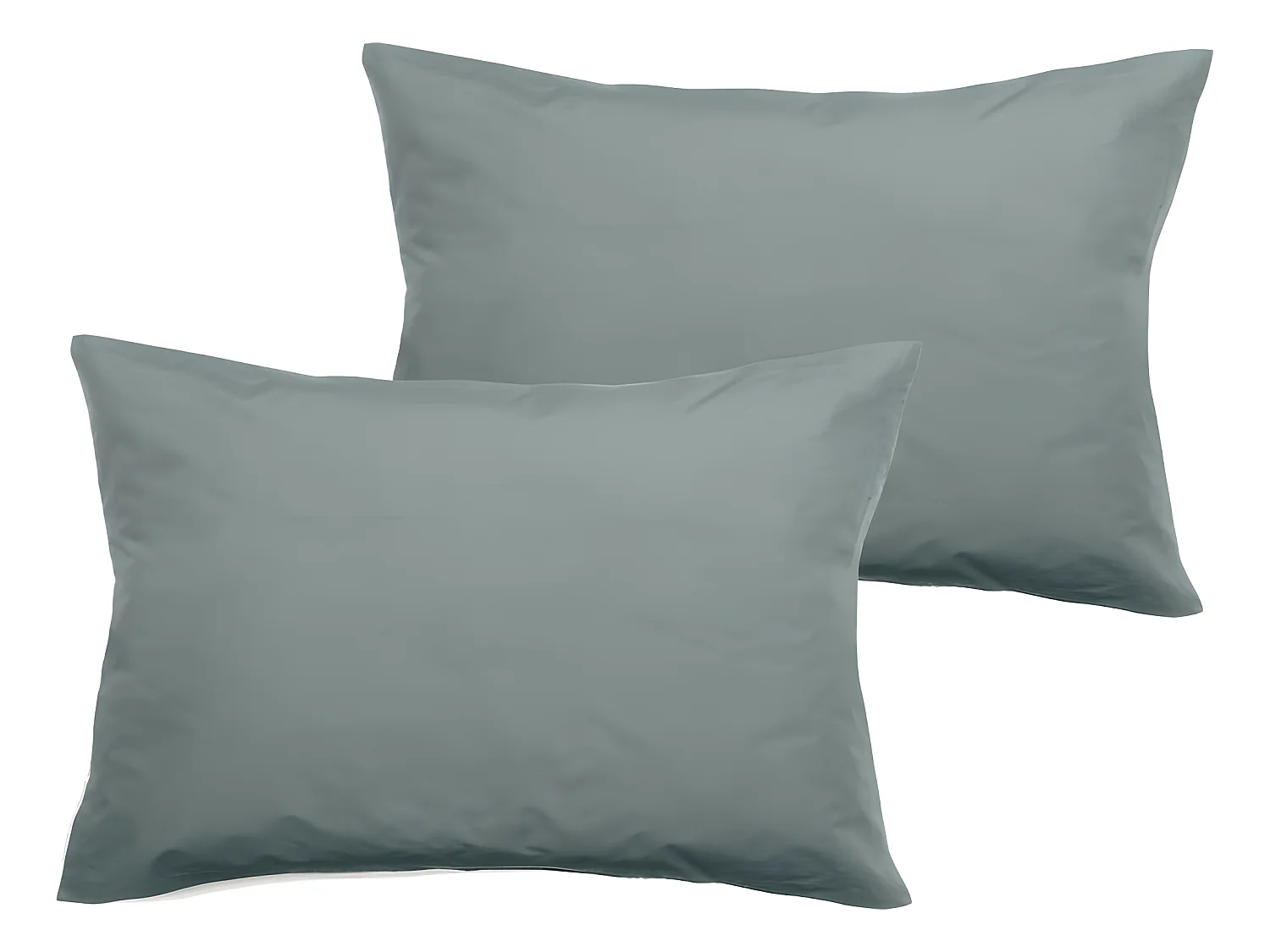Lot de 2 taies d'oreiller percale pur coton peigné longues fibres 80 fils/cm² Vent du sud