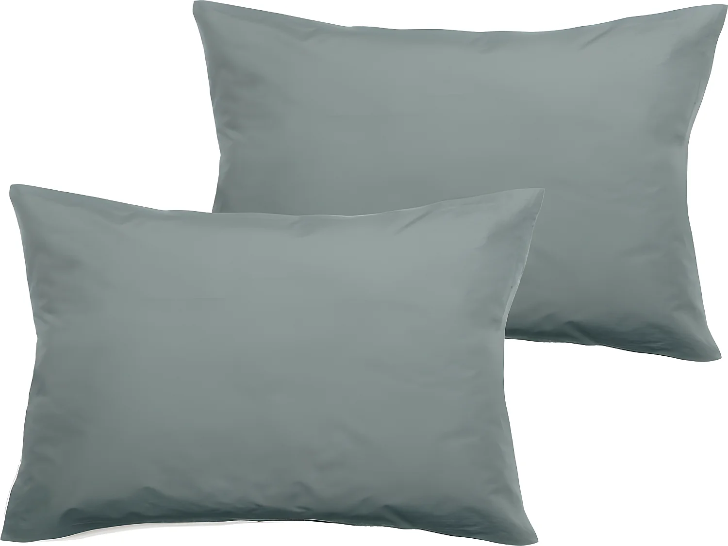 Lot de 2 taies d'oreiller percale pur coton peigné longues fibres 80 fils/cm² Vent du sud