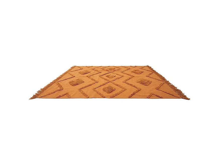 Tapis Ethinique Tufte Terracotta 120x170cm Orange