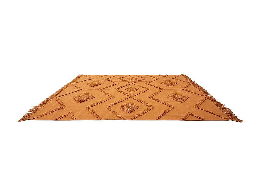 Tapis Ethinique Tufte Terracotta 120x170cm Orange