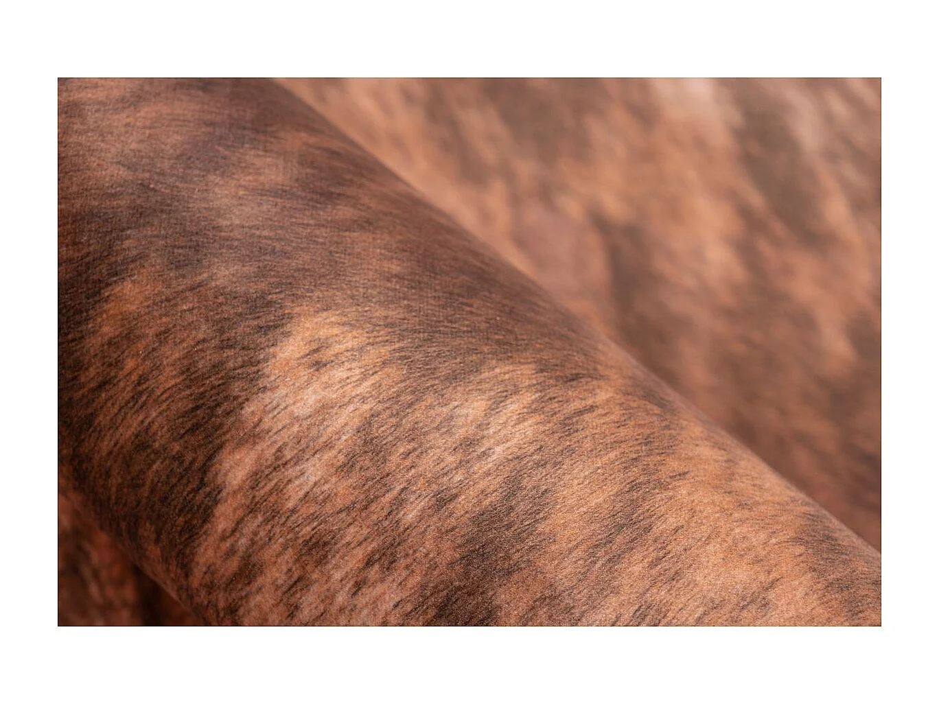 Tapis Tissé Imprimé Animal "Western" Marron Clair 160 x 220 cm