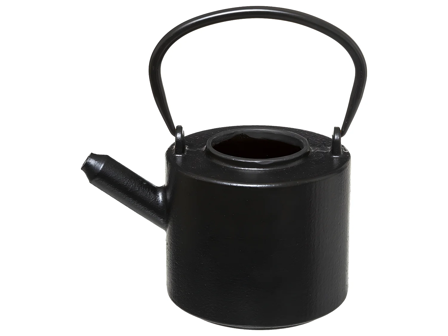 Théière en Fonte "Vie Sauvage" 16cm Noir