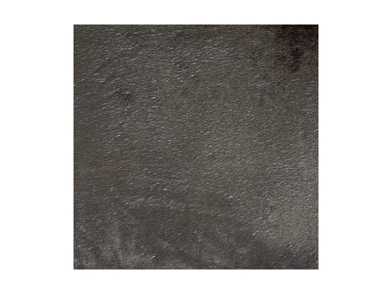 Coussin pour Chien & Chat "Patchy" 69cm Beige