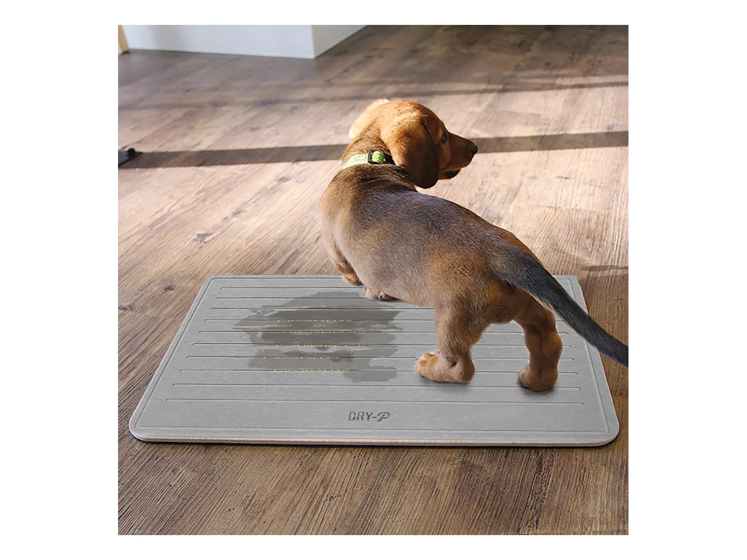 Pierre Dapprentissage