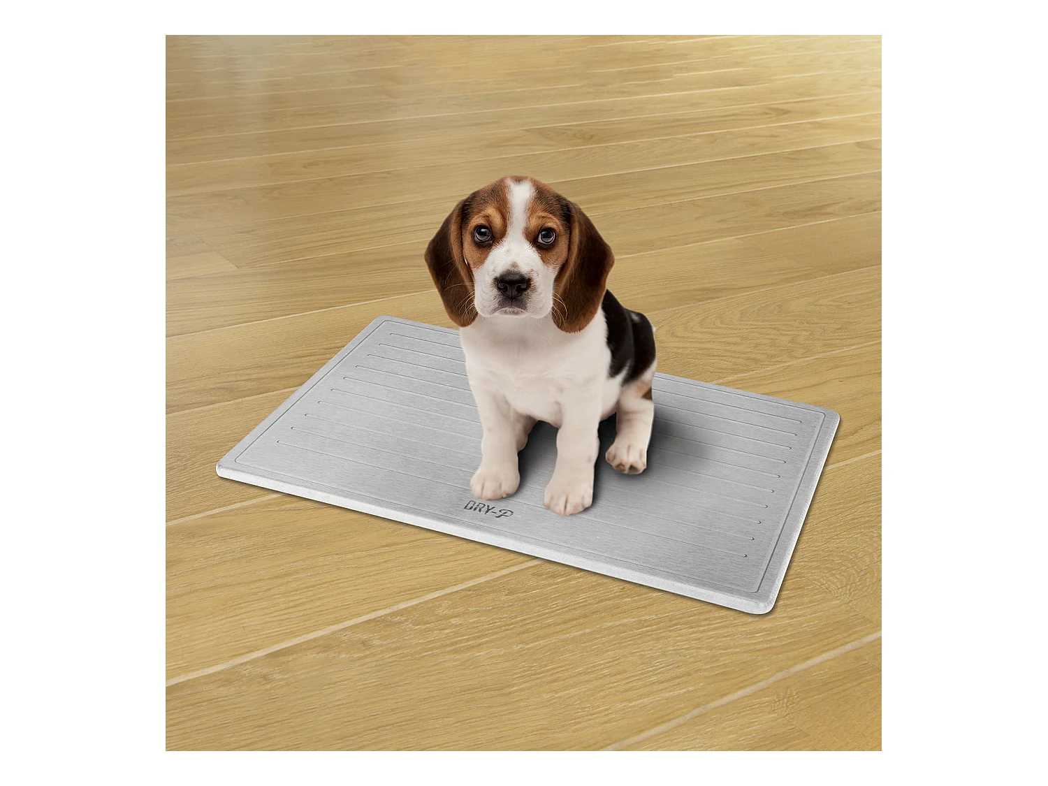 Pierre Dapprentissage