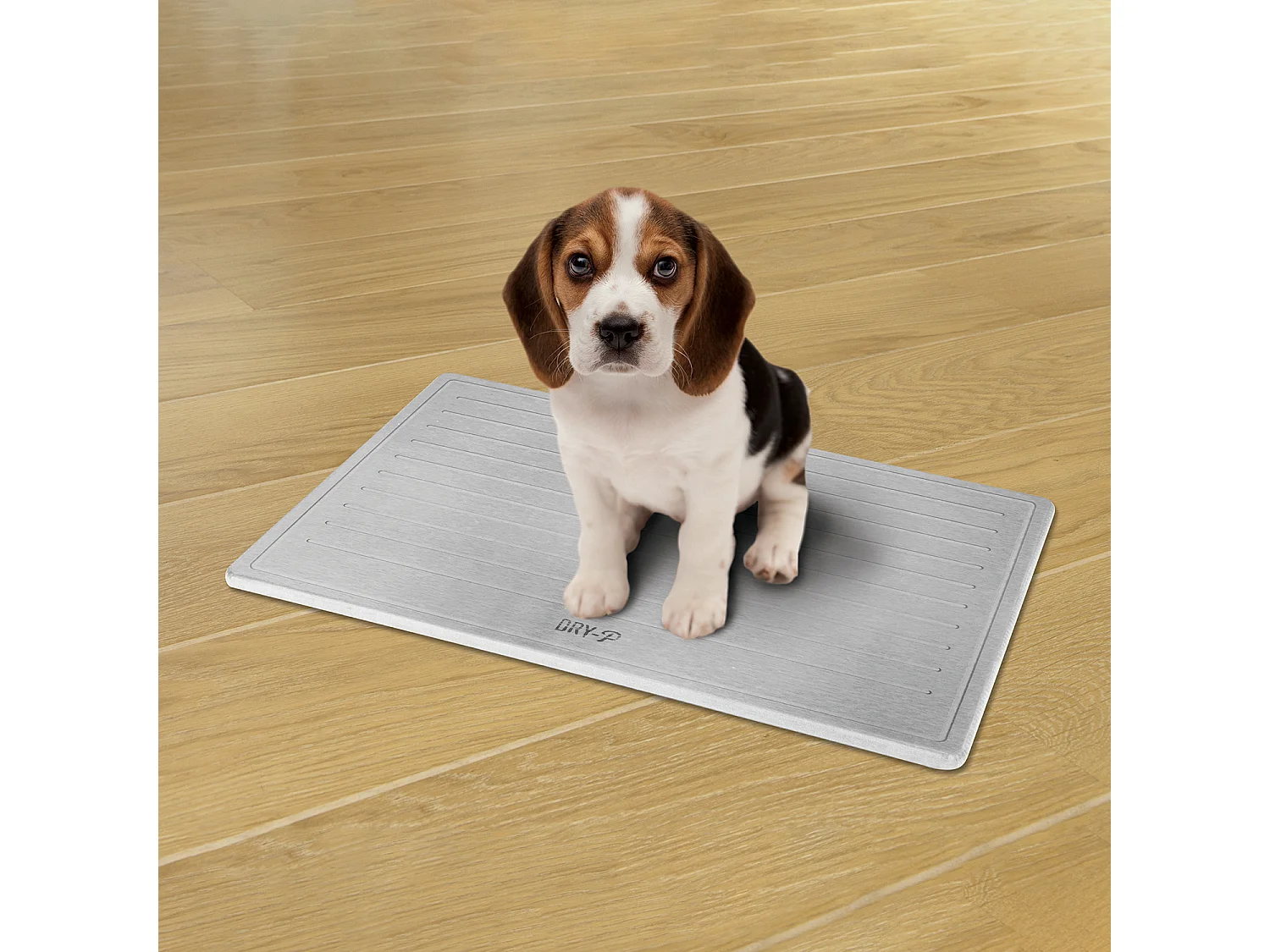 Pierre Dapprentissage