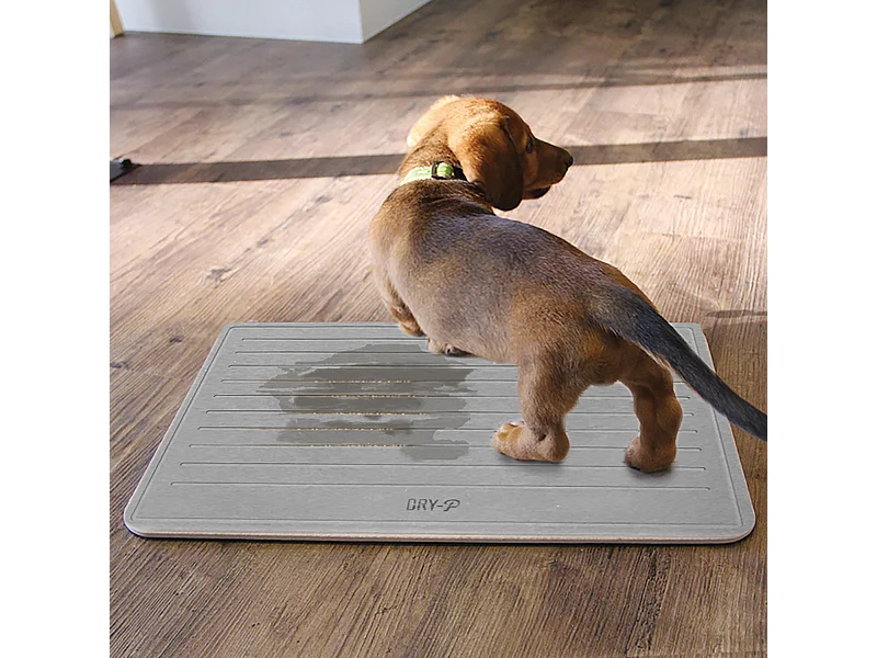 Pierre Dapprentissage