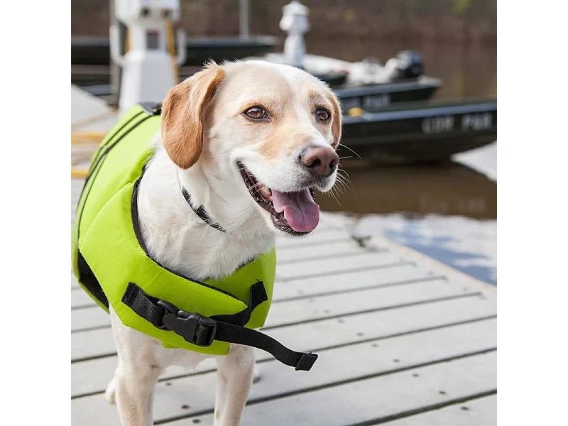 Gilet de Flottaison pour Chien "Réfléchissant" 54cm Jaune