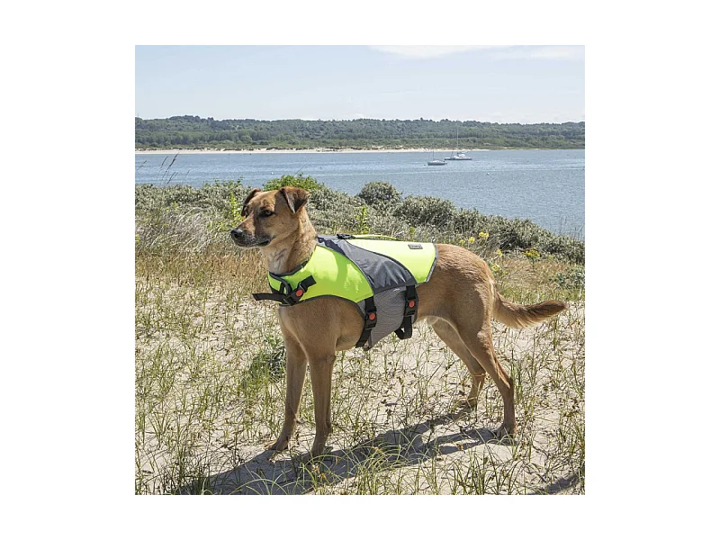 Gilet de Flottaison pour Chien "Réfléchissant" 43cm Jaune