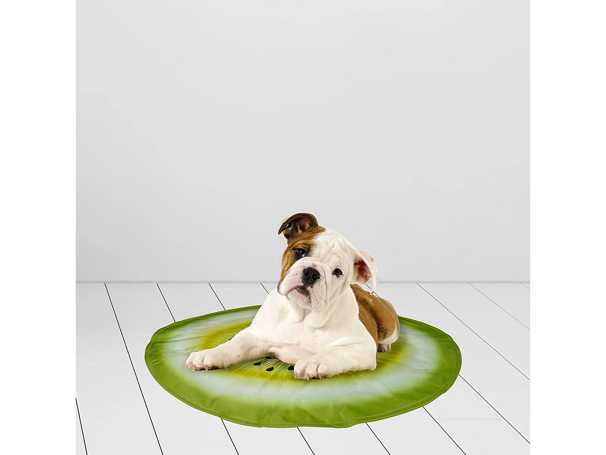 Matelas Rafraîchissant pour Animaux "Fruit" 60cm Vert