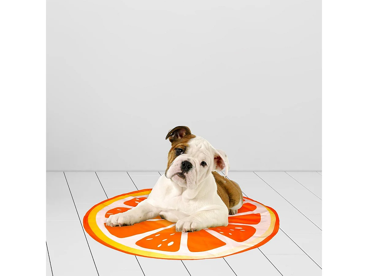 Matelas Rafraîchissant pour Animaux "Fruit" 60cm Orange