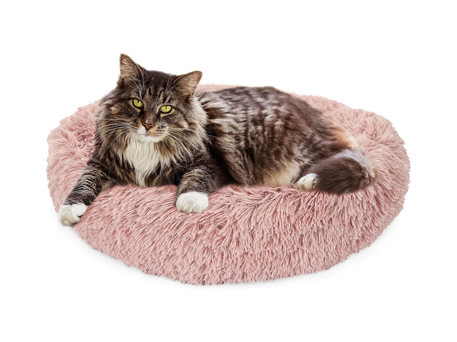Coussin Lit Apaisant Chat Rose 60 Cm