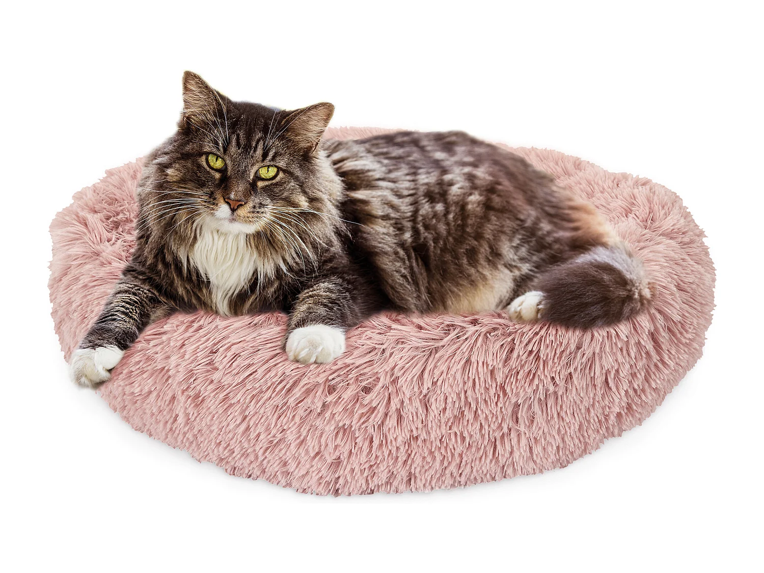 Coussin Lit Apaisant Chat Rose 60 Cm