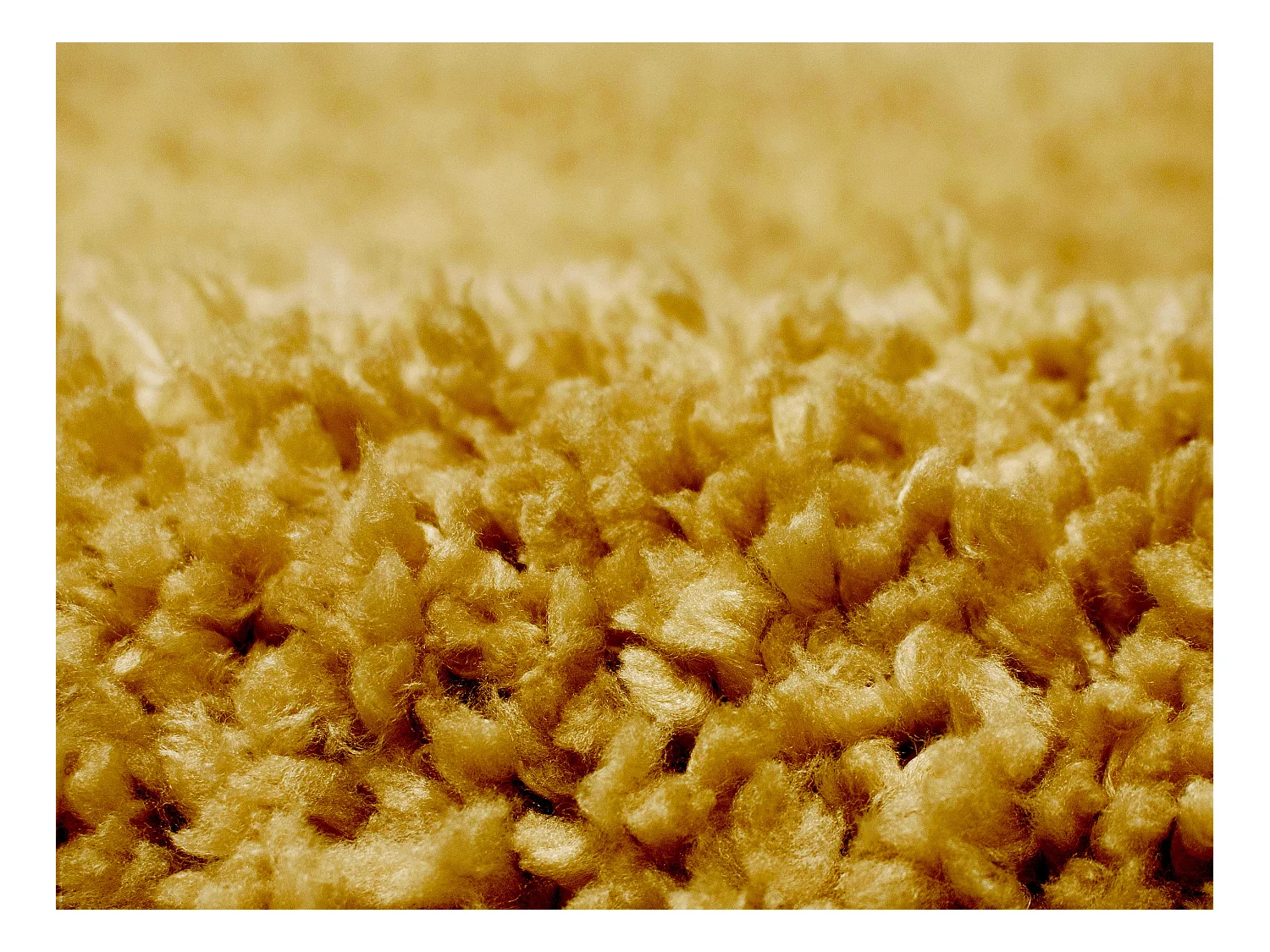 Hochflorteppich - 160 x 230 cm - Senfgelb - MILINIO