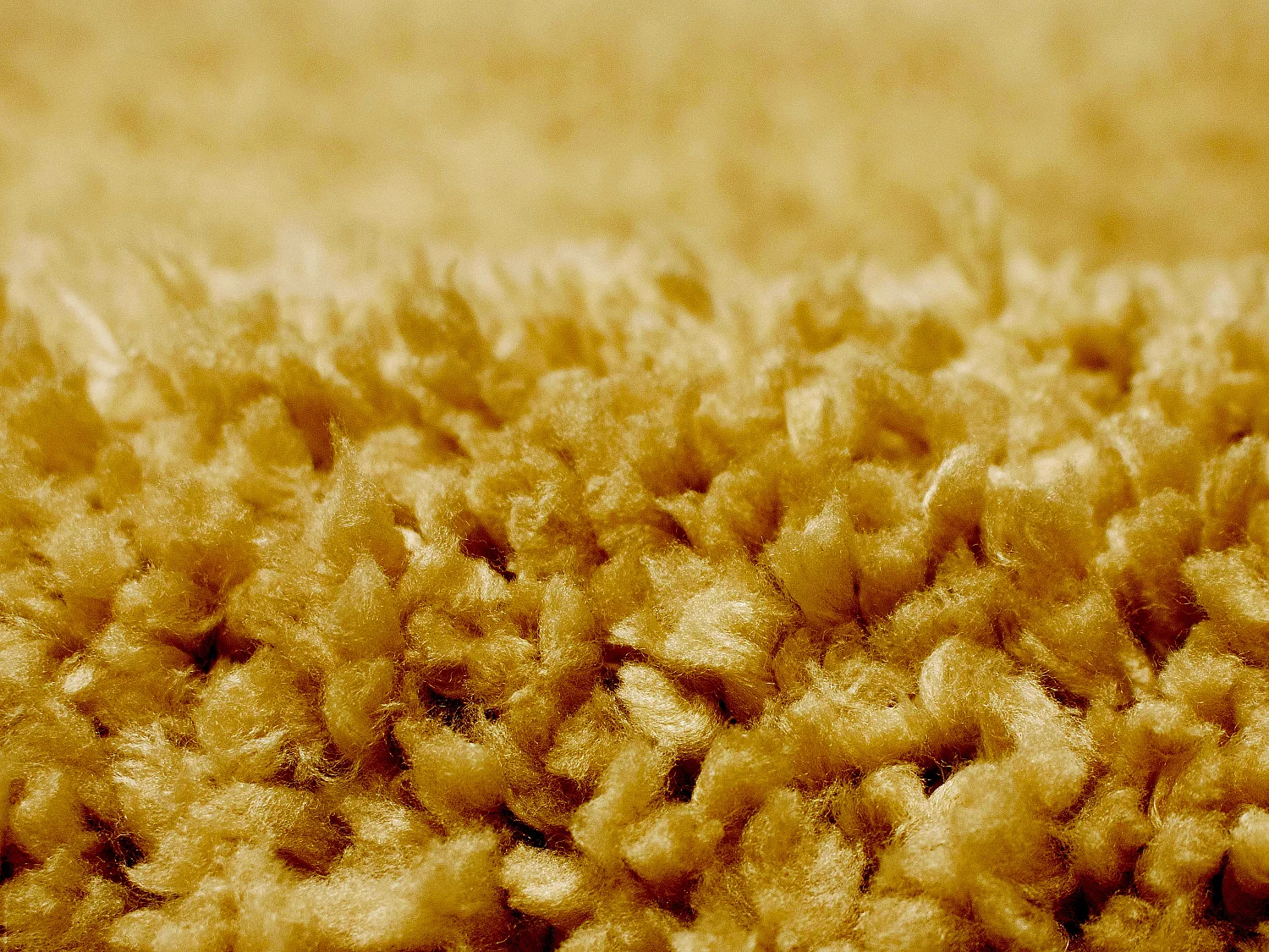 Hochflorteppich - 160 x 230 cm - Senfgelb - MILINIO