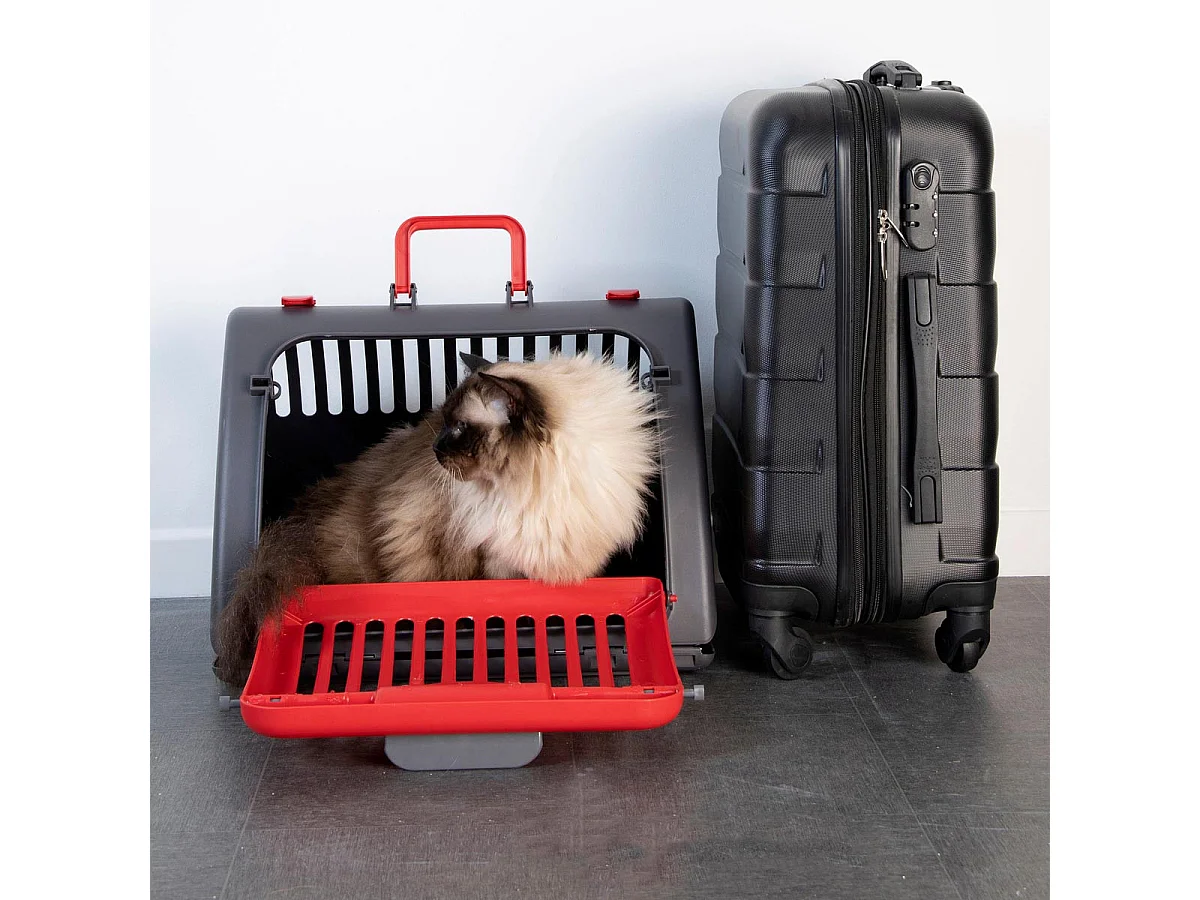 Caisse de Transport pour Chat "Pliable" 46cm Rouge