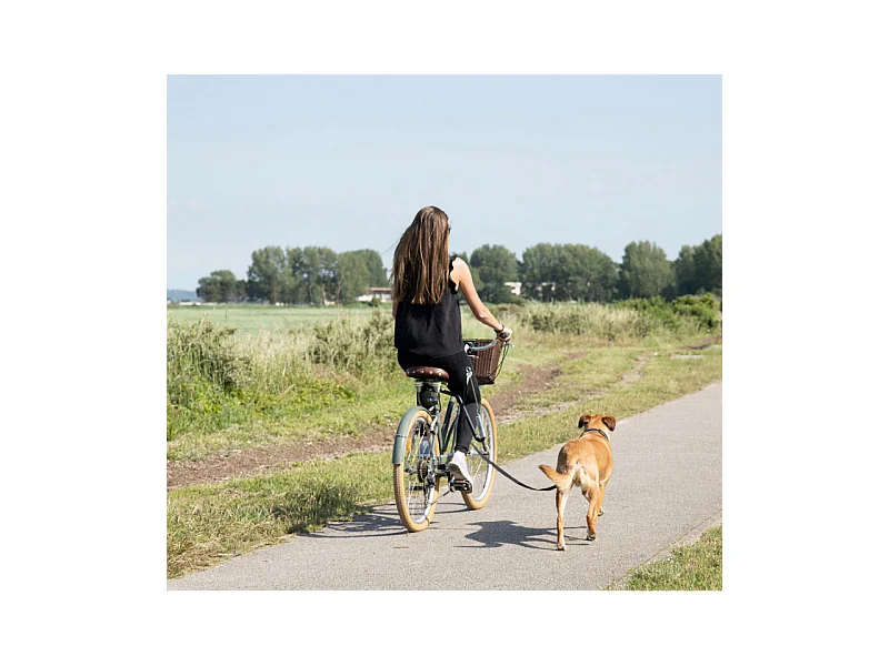 Kit d'Accroche Vélo pour Chien "Laisse" 48cm Noir