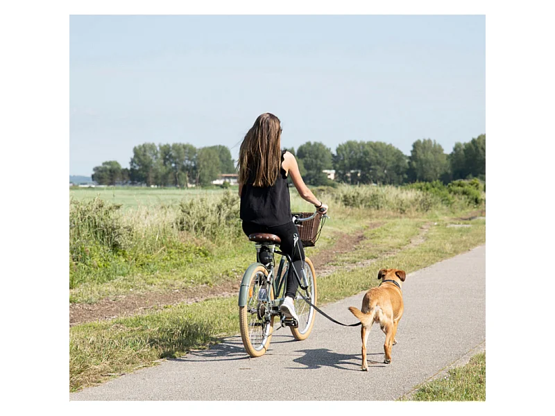 Kit d'Accroche Vélo pour Chien "Laisse" 48cm Noir